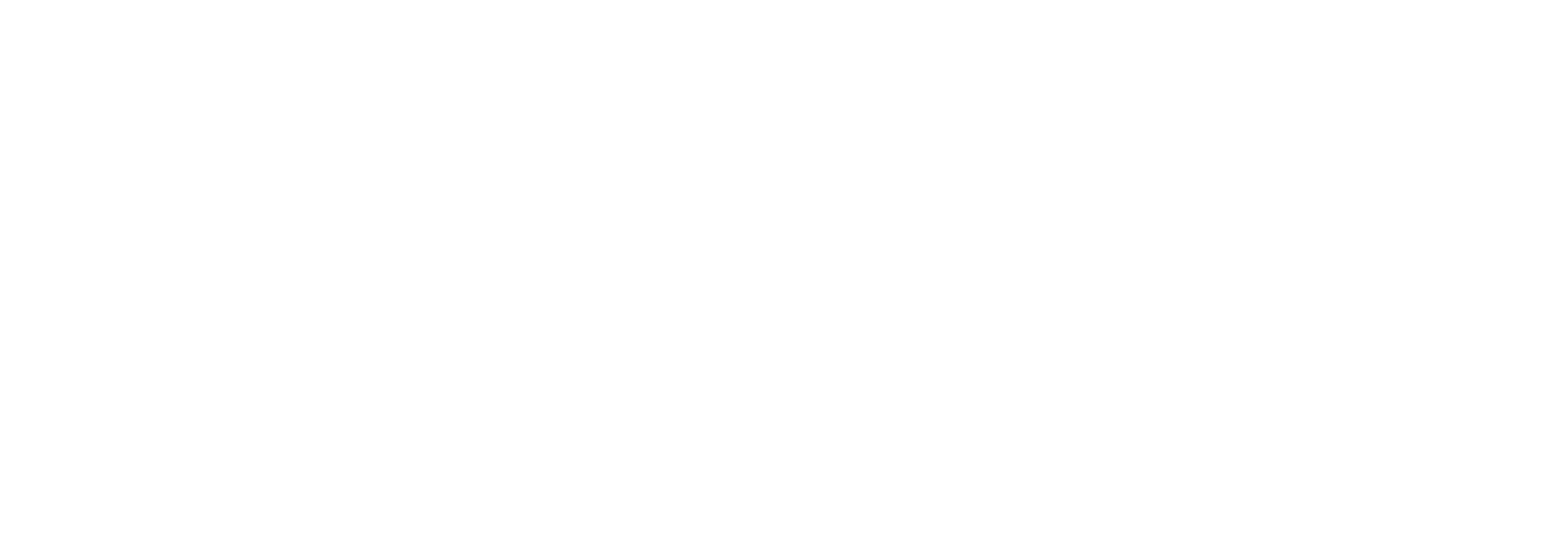 Zürich 30. - 31.10.2026