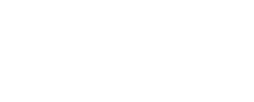 Online Experience